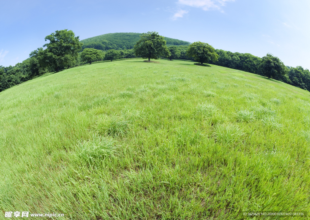 草原风景