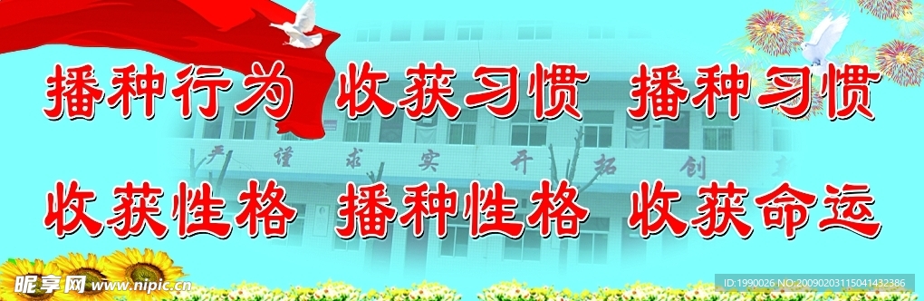 背景 学校展板素材 鸽子 向日葵