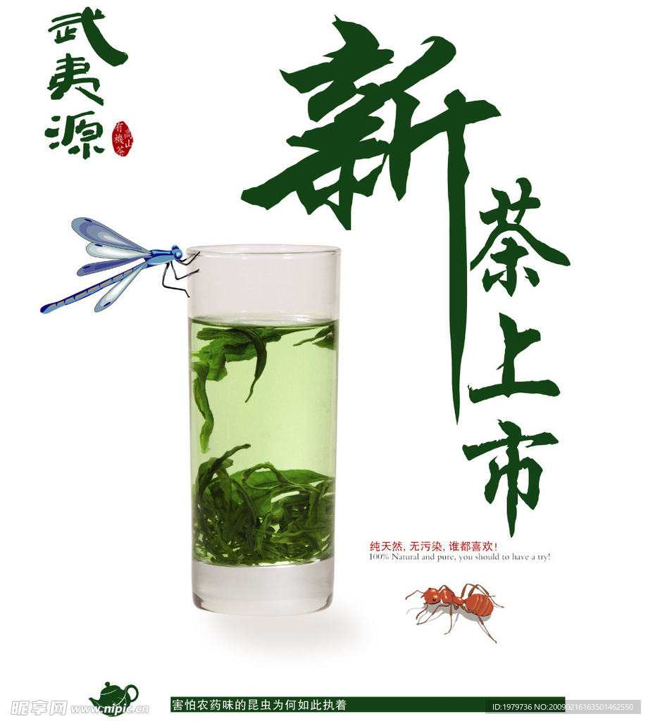 武夷源 新茶上市