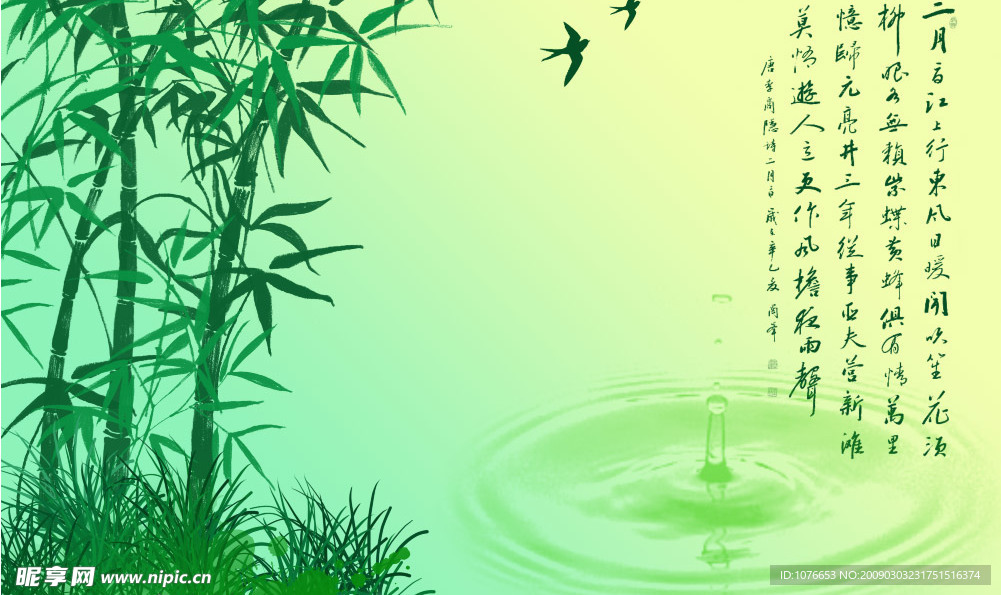 竹子风景