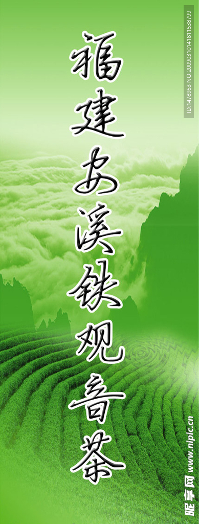 福建安溪铁观音茶