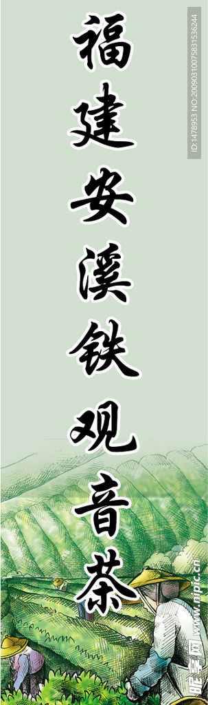 福建安溪铁观音茶