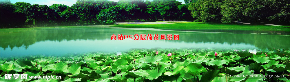 高精ps分层荷花风景图