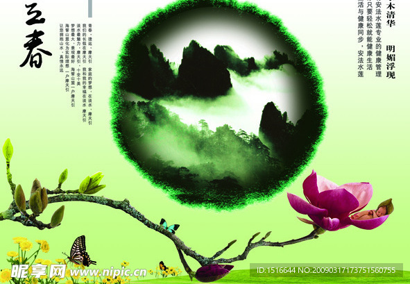 节气立春素材