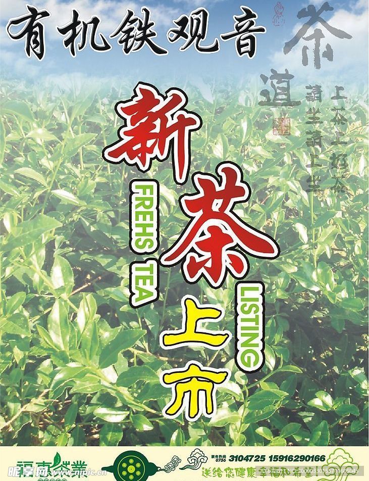 新茶上市