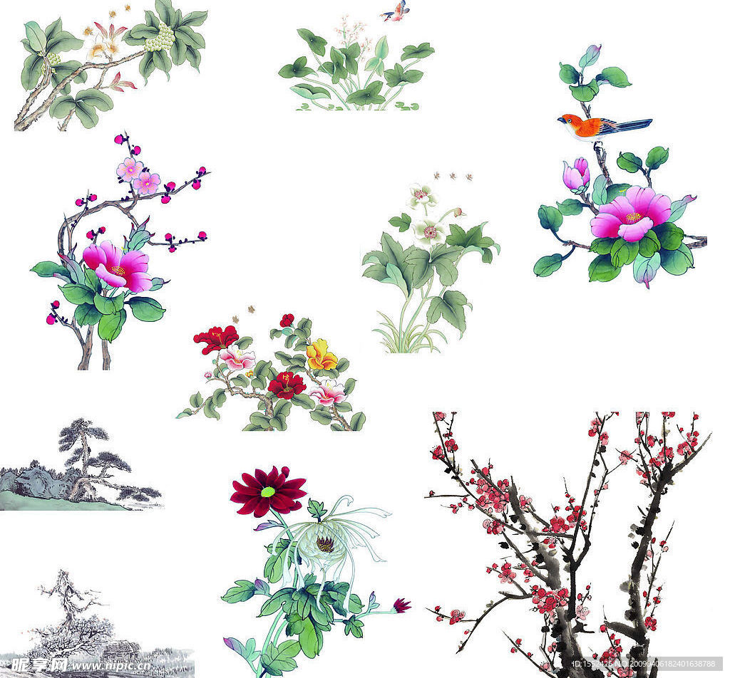 国画花组合