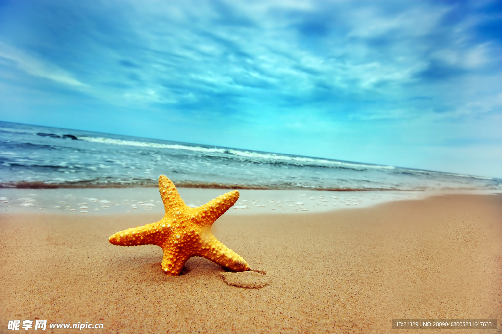 夏日海边沙滩风景