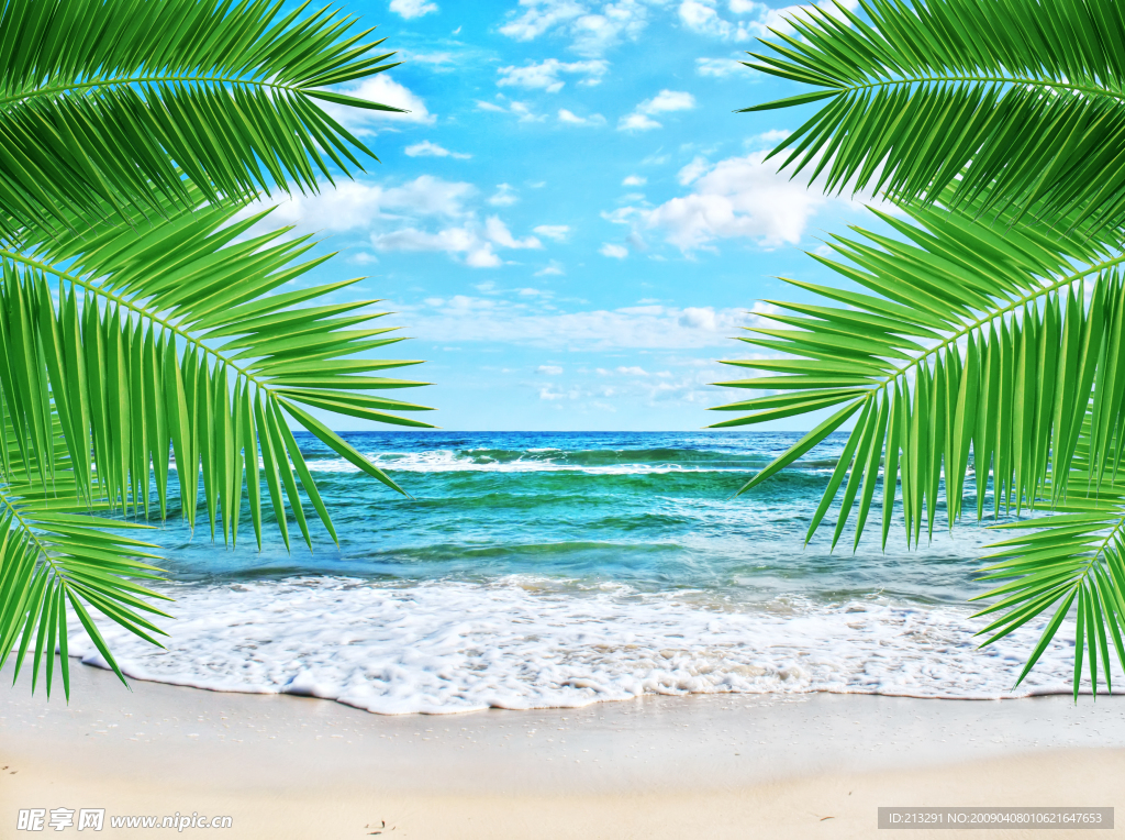 夏日海边沙滩风景