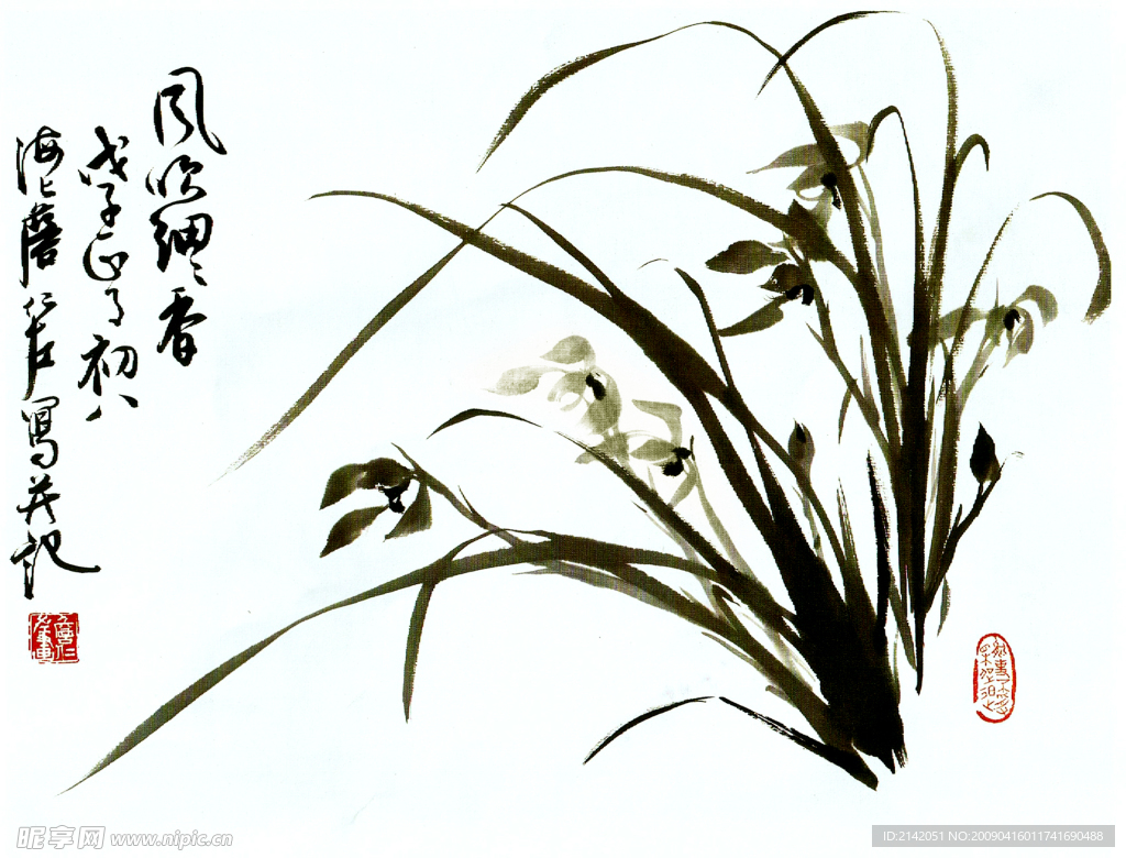 国画兰花
