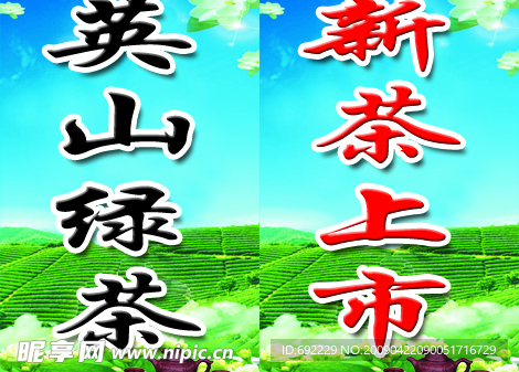 英山绿茶新茶上市门口双面灯箱