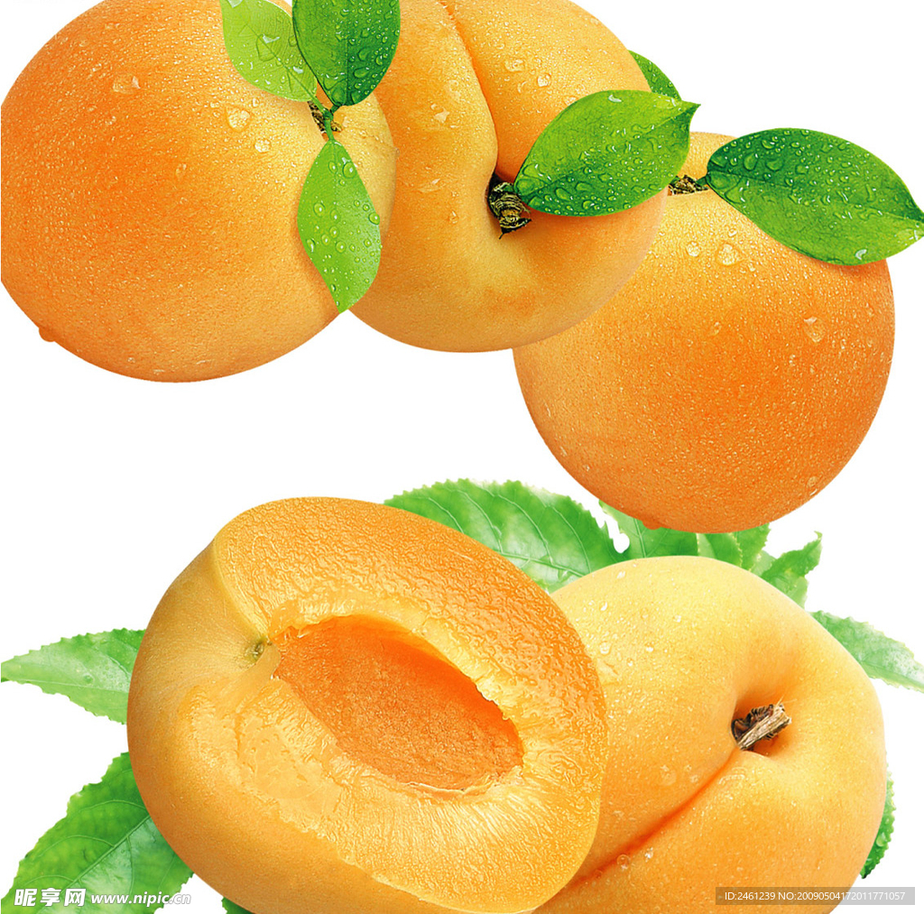 梅 梅干 食品包装素材 梅肉