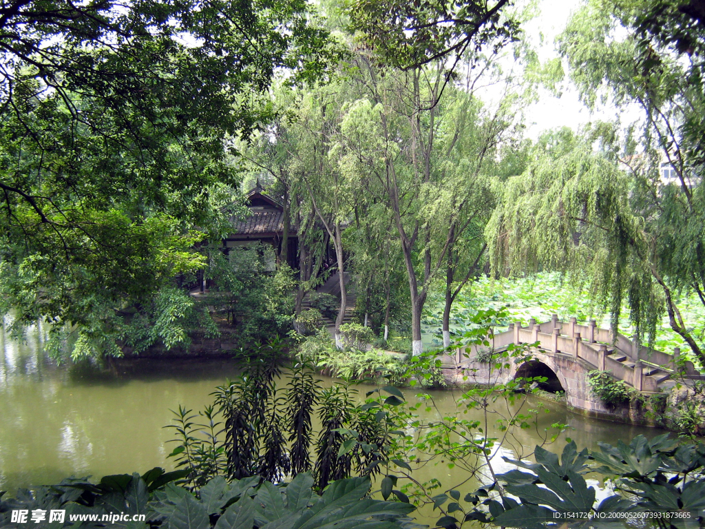 夏日风景