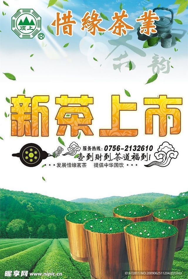 新茶上市
