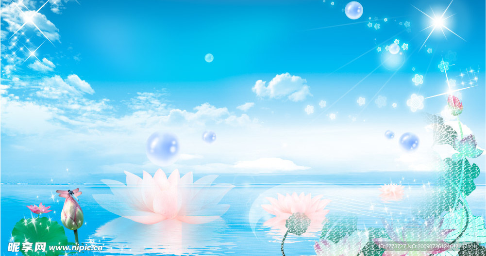 荷花风景