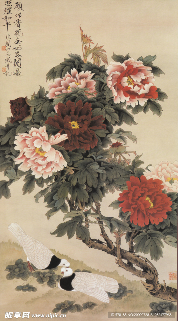 牡丹国画