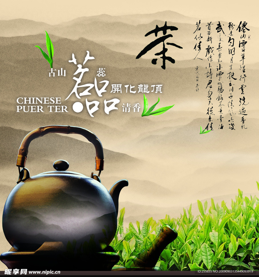 开化龙顶茶