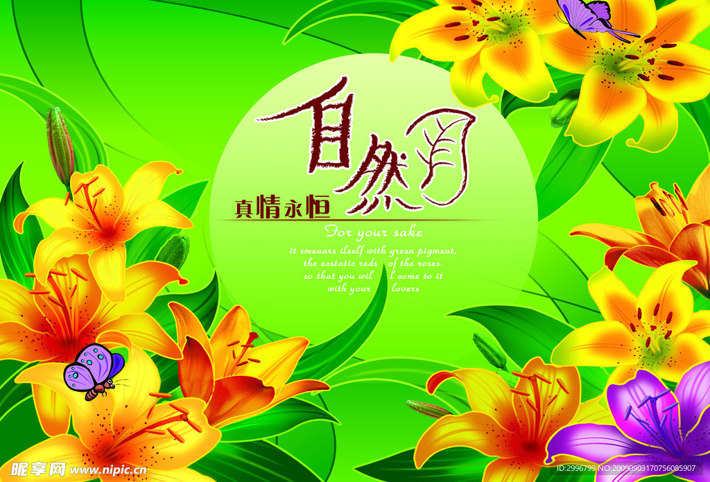 百合花