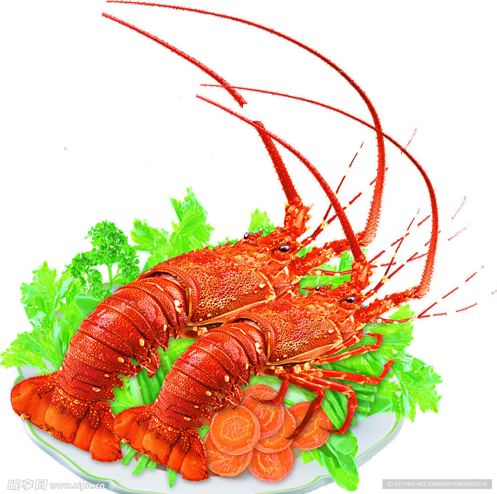 大龙虾