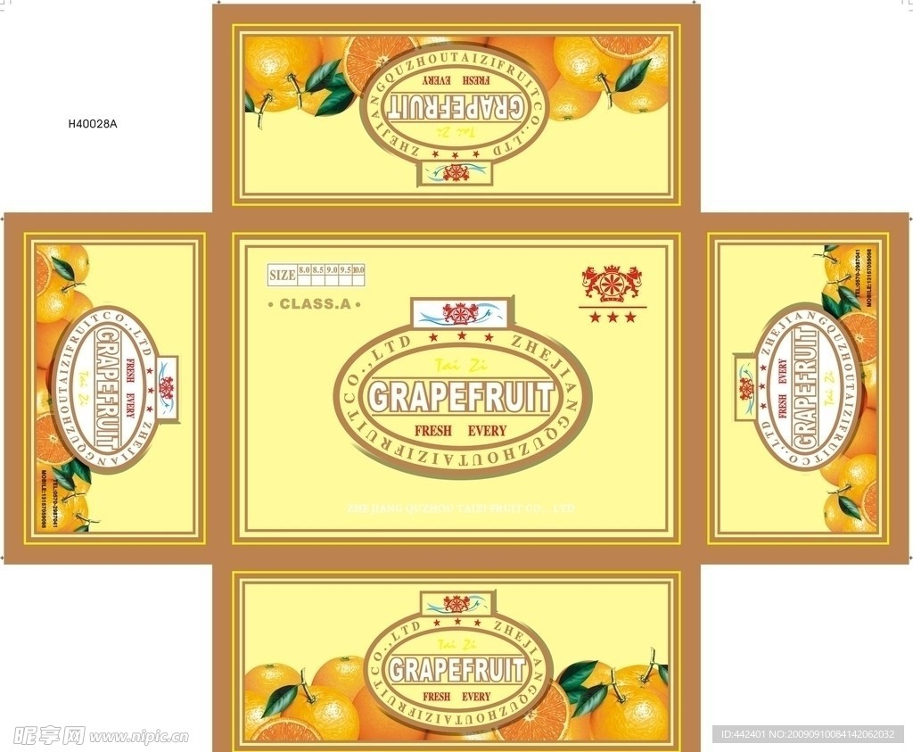 柑橘 桔子 胡柚 脐橙 水果包装箱