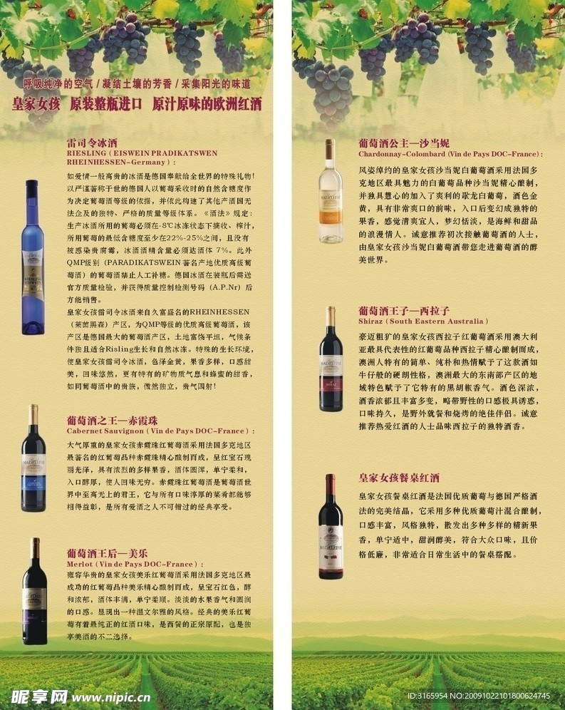 红酒X展架