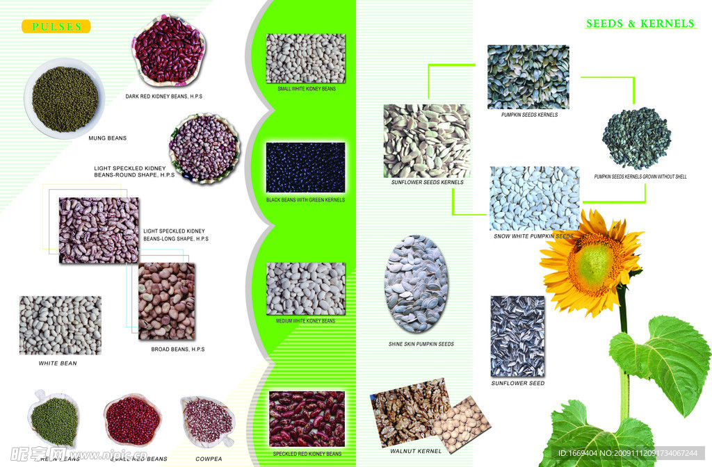 中意食品画册宣传