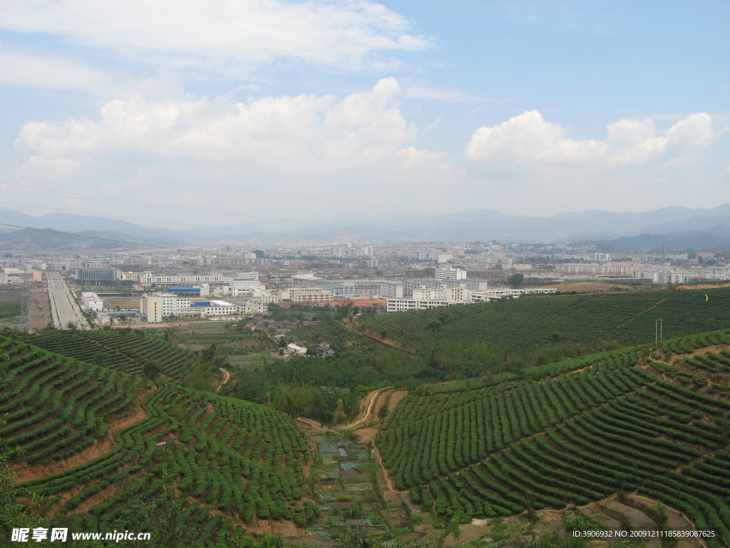 中国茶城 普洱 茶园 茶山