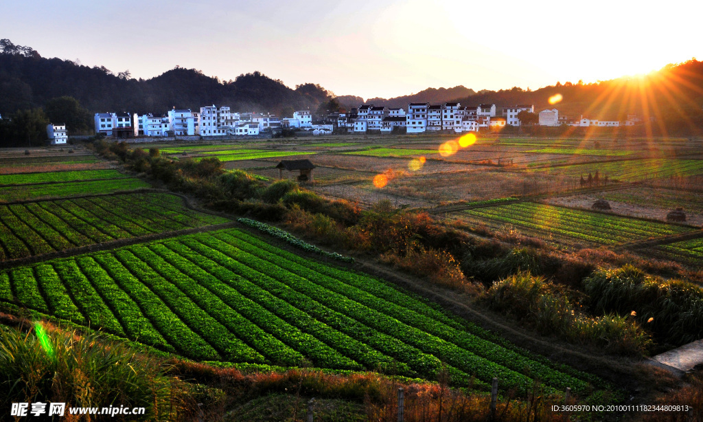 美丽新农村