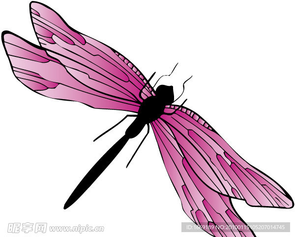 韩国 花纹 蝴蝶