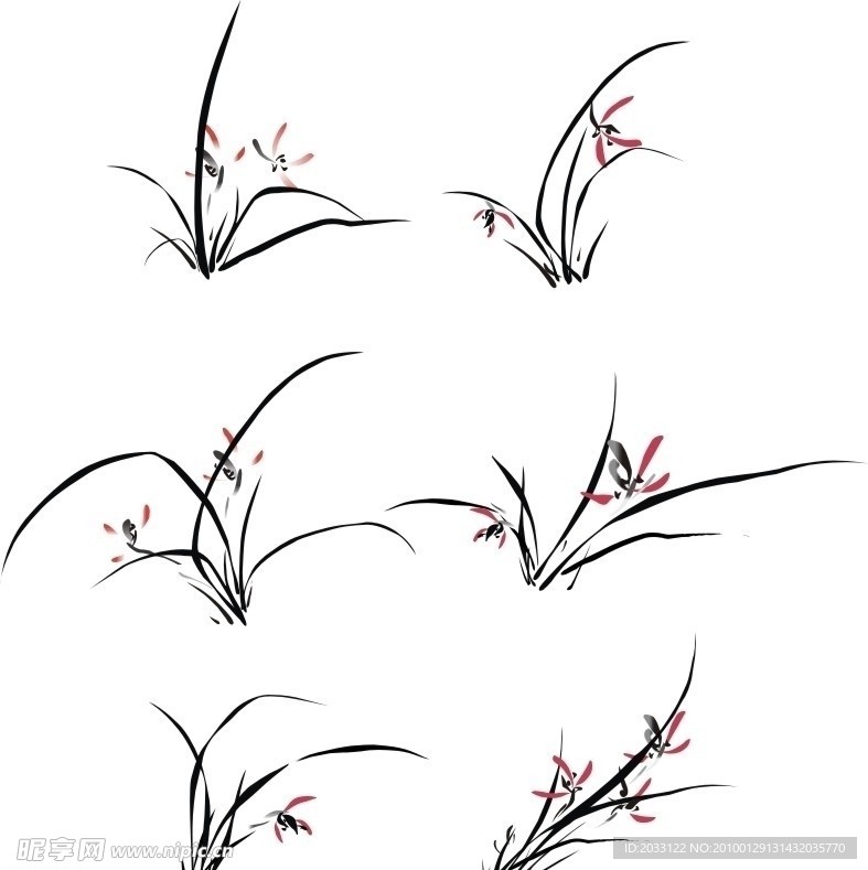 国画 兰花