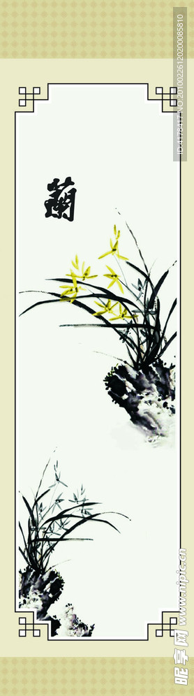 国画菊花
