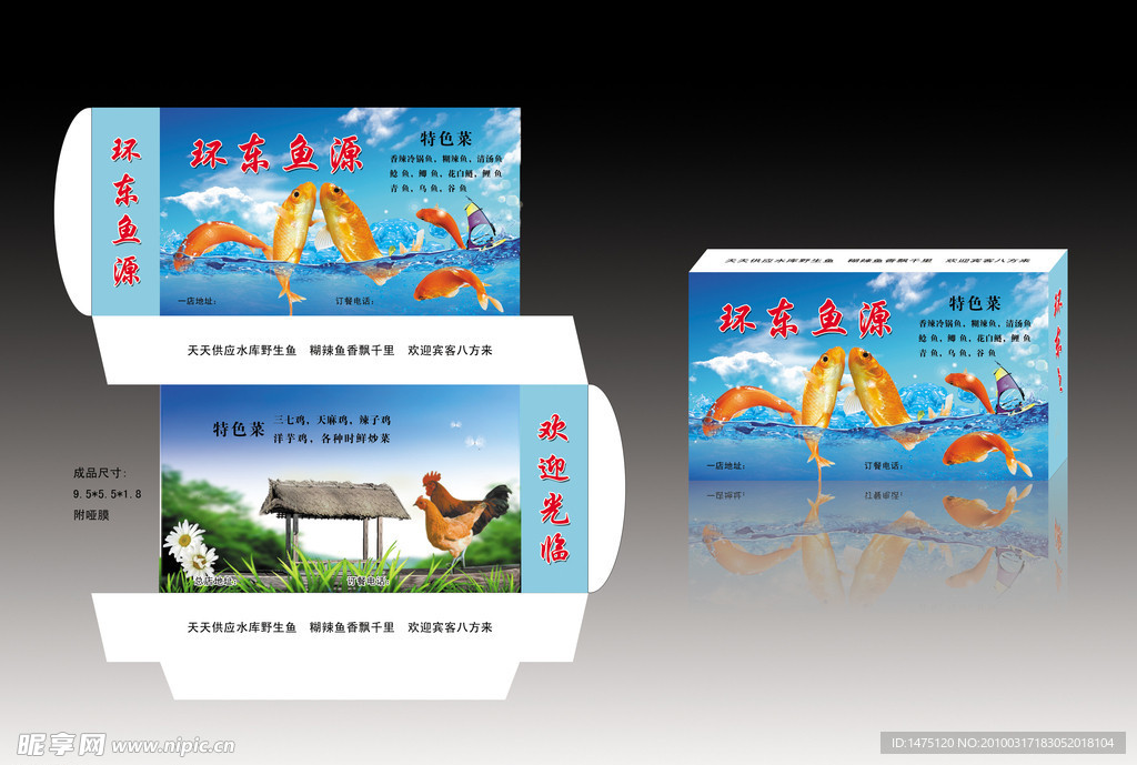 包装设计（展开图）