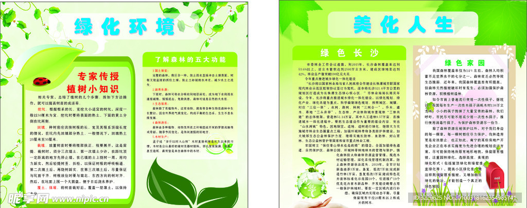 植树节板报