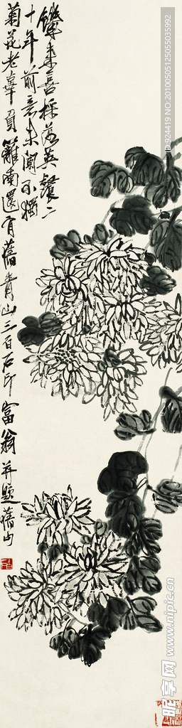 国画菊花