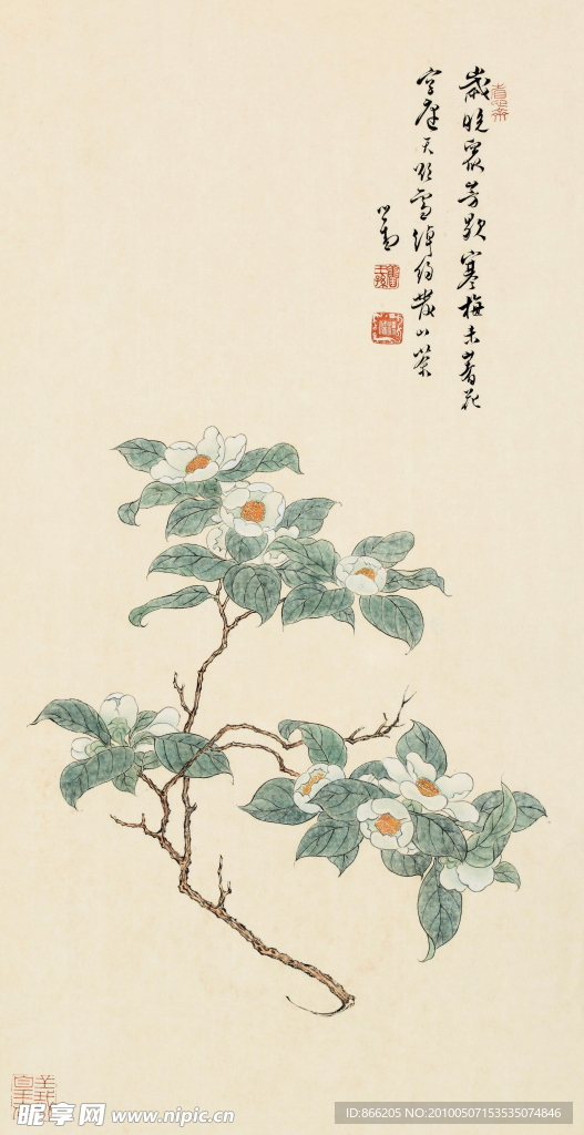 国画 花