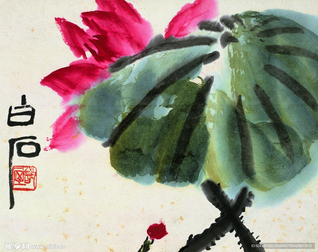 荷花国画