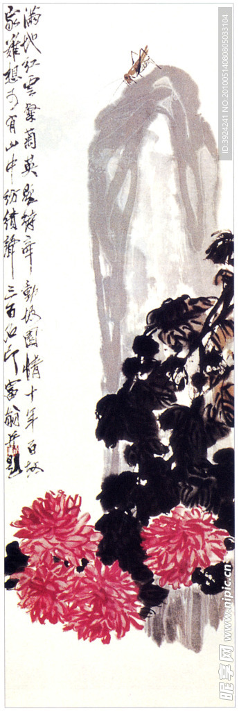 国画菊花