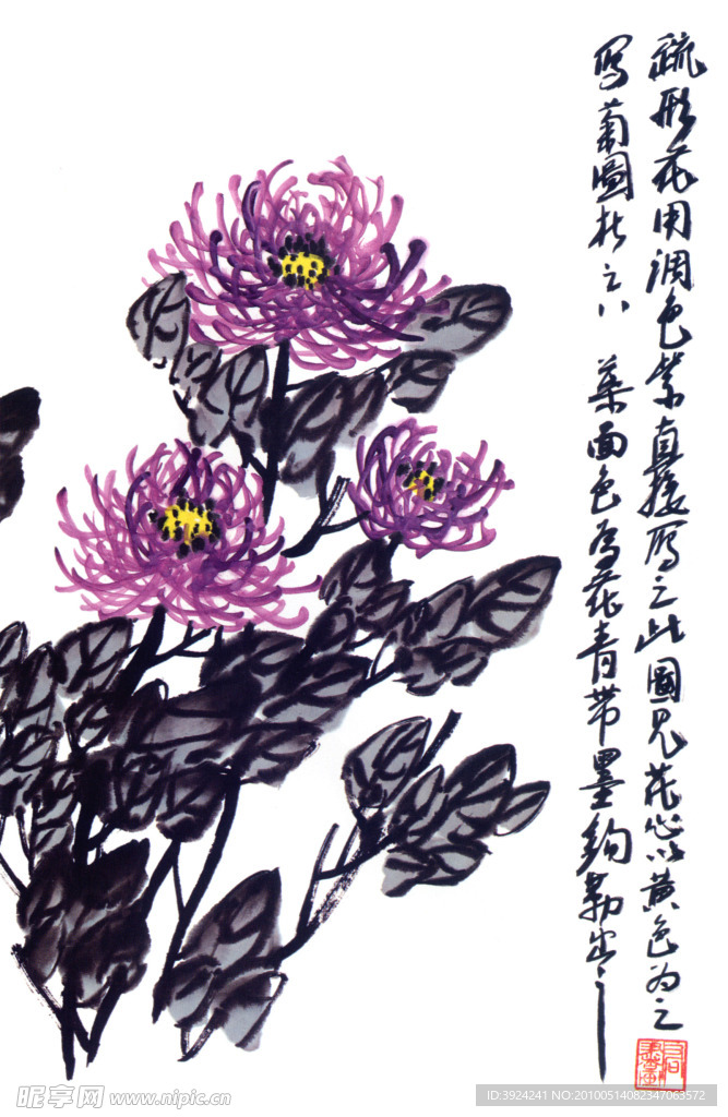 国画菊花