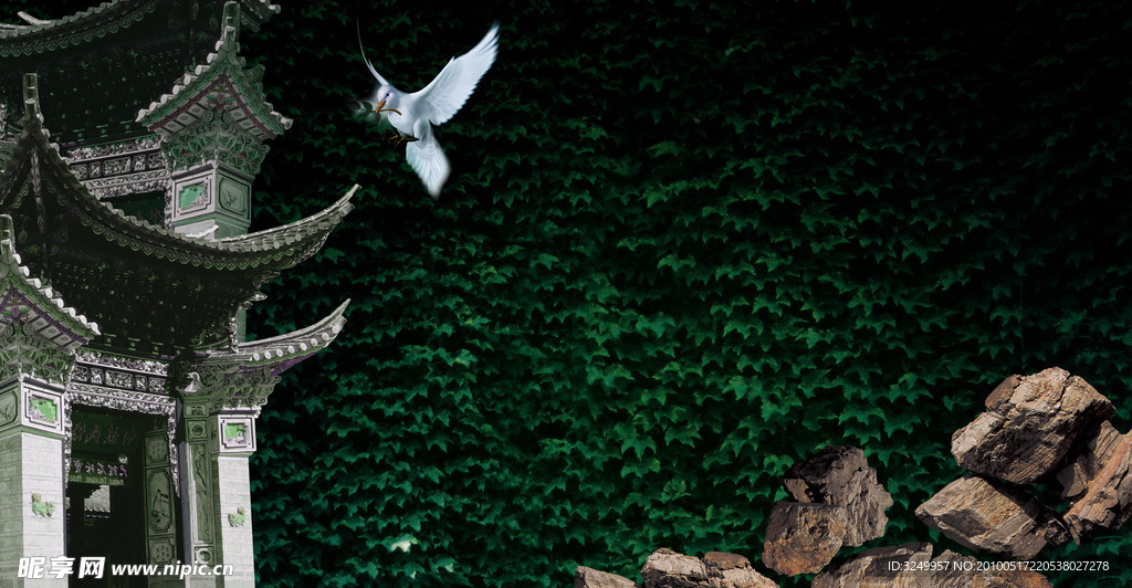 房地产图片 鸽子