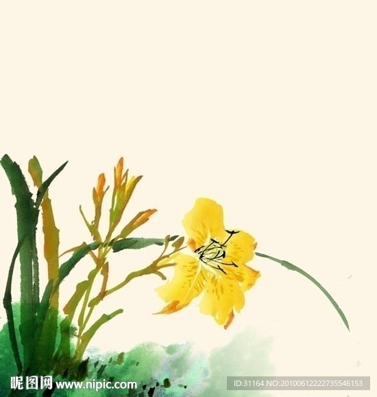 国画 兰花图