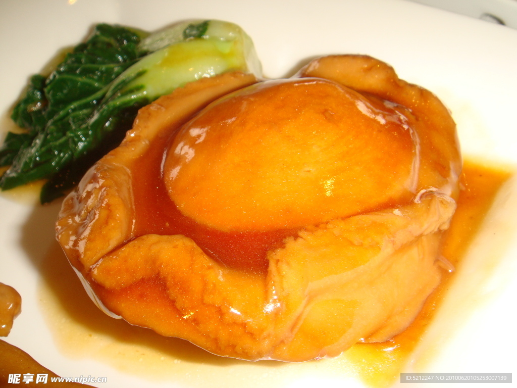 蝴蝶 黄色花朵 绿叶 特写 花斑 昆虫 昆虫图片