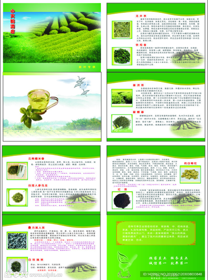 茶叶 宣传册