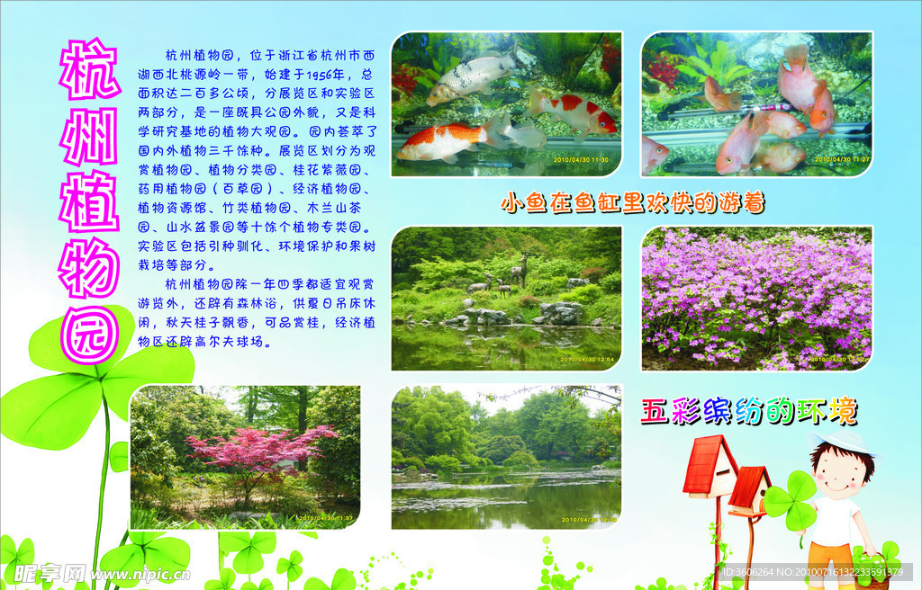 手抄报