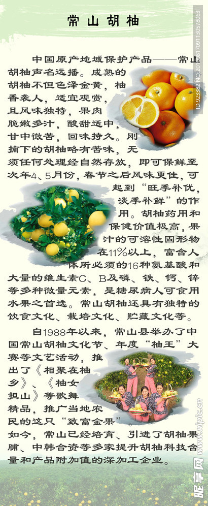 旅游宣传展架