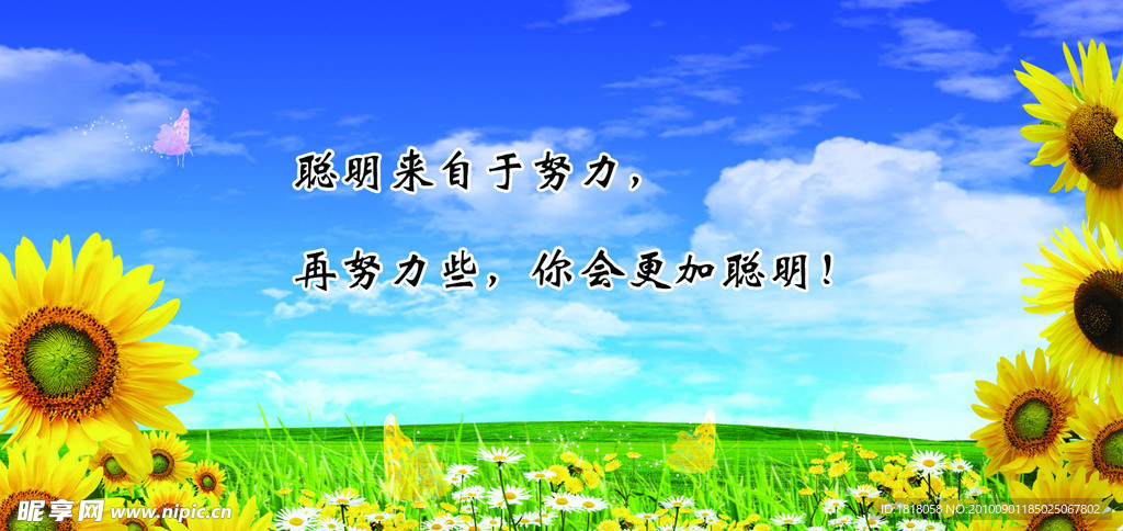 学校展板标语牌