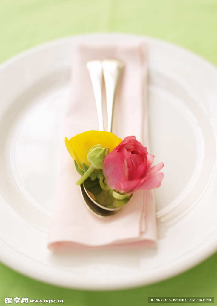 水果 静物 无框画素材 图库