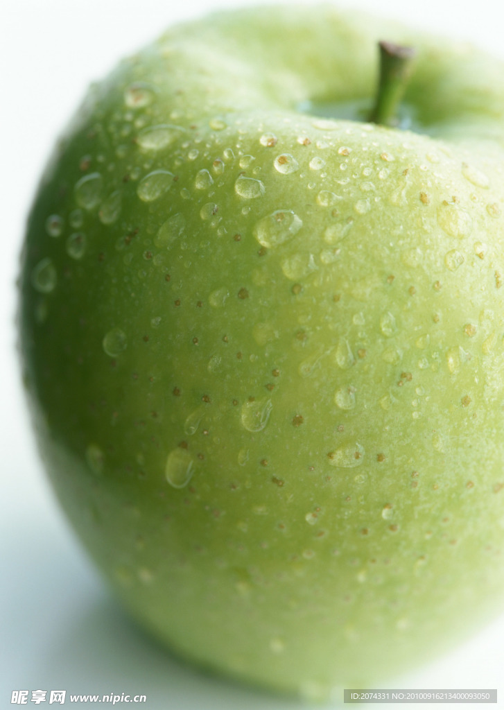 水果 静物 无框画素材 图库