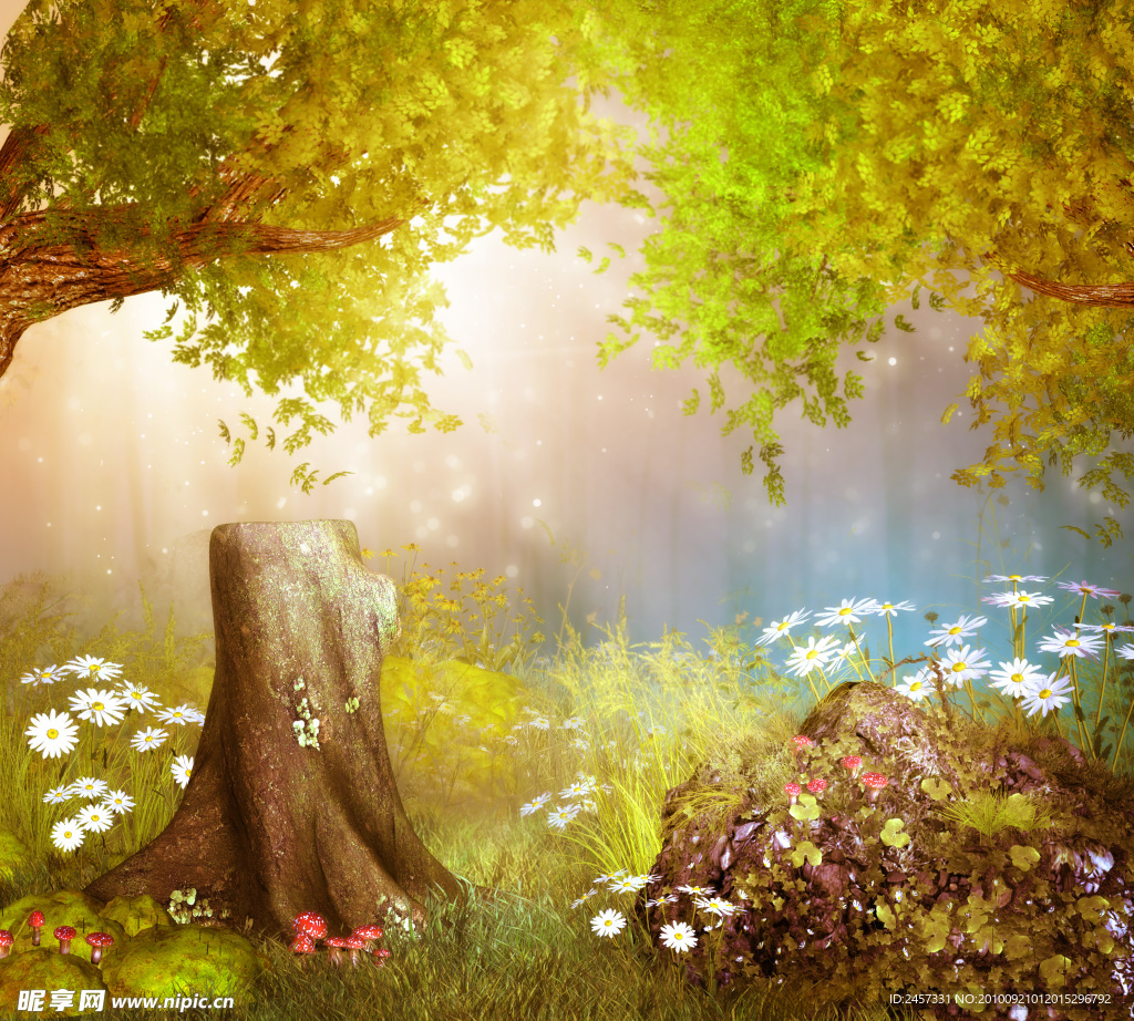 梦幻世界 影楼背景 野菊花 大树