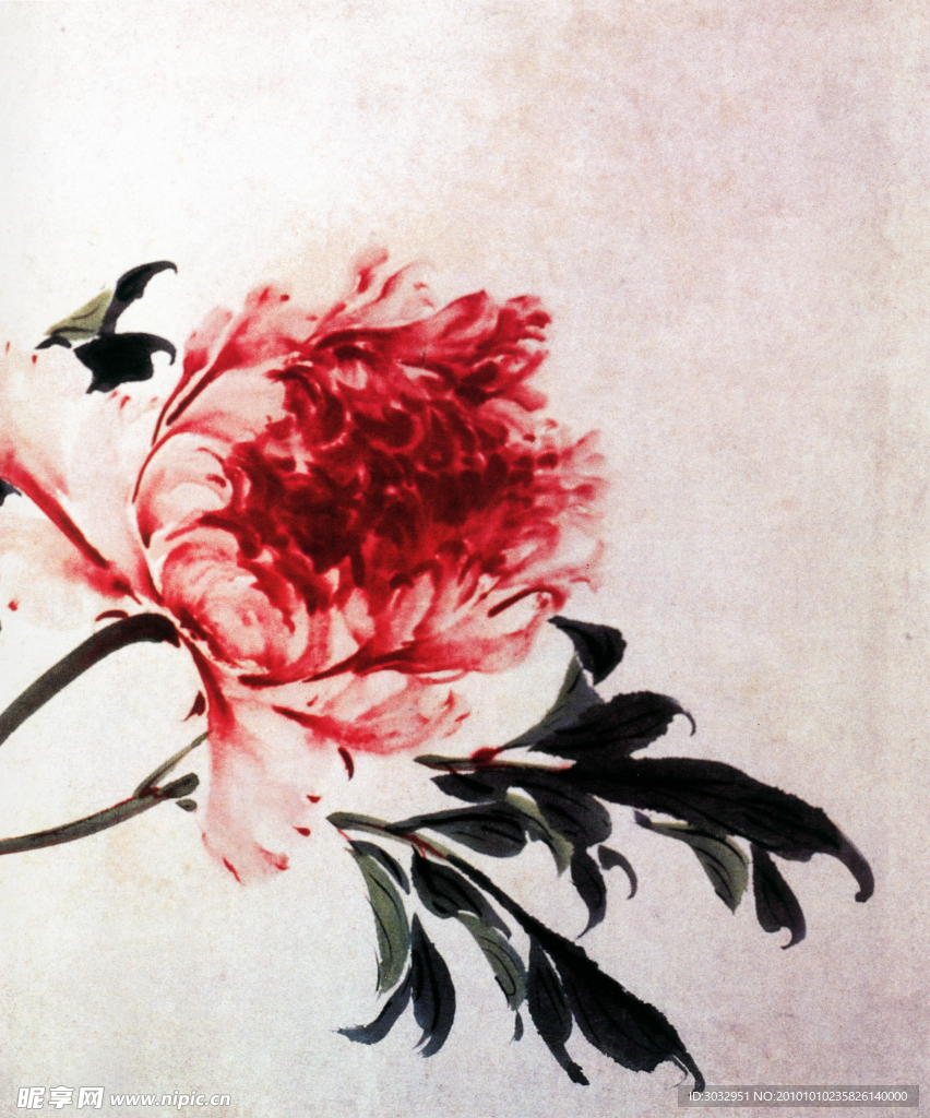 国画菊花