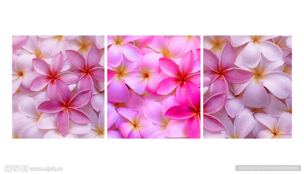 漂亮花卉无框画