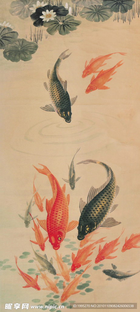 国画 鲤鱼
